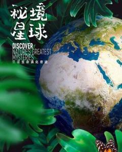 进击的飞机