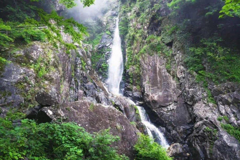 2024绵阳二诊划线已出!你确定寒假不冲一把?