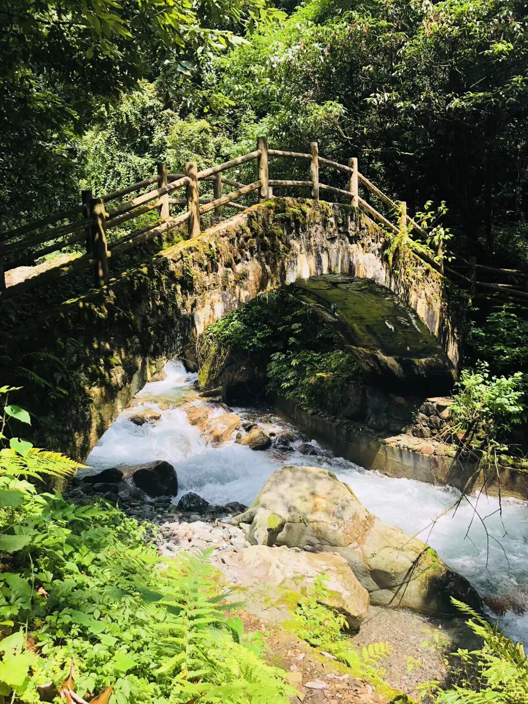 逃出灰绿房